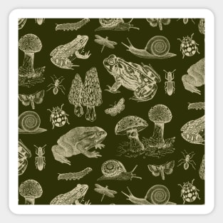 Goblincore Aesthetics: Vintage Biology Exploration with Frog, Mushroom, Snail, Moths and Insects Sticker